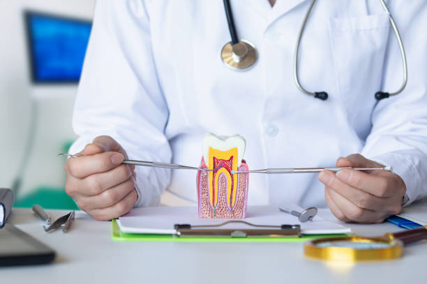Best Emergency TMJ Treatment in Holcom, KS